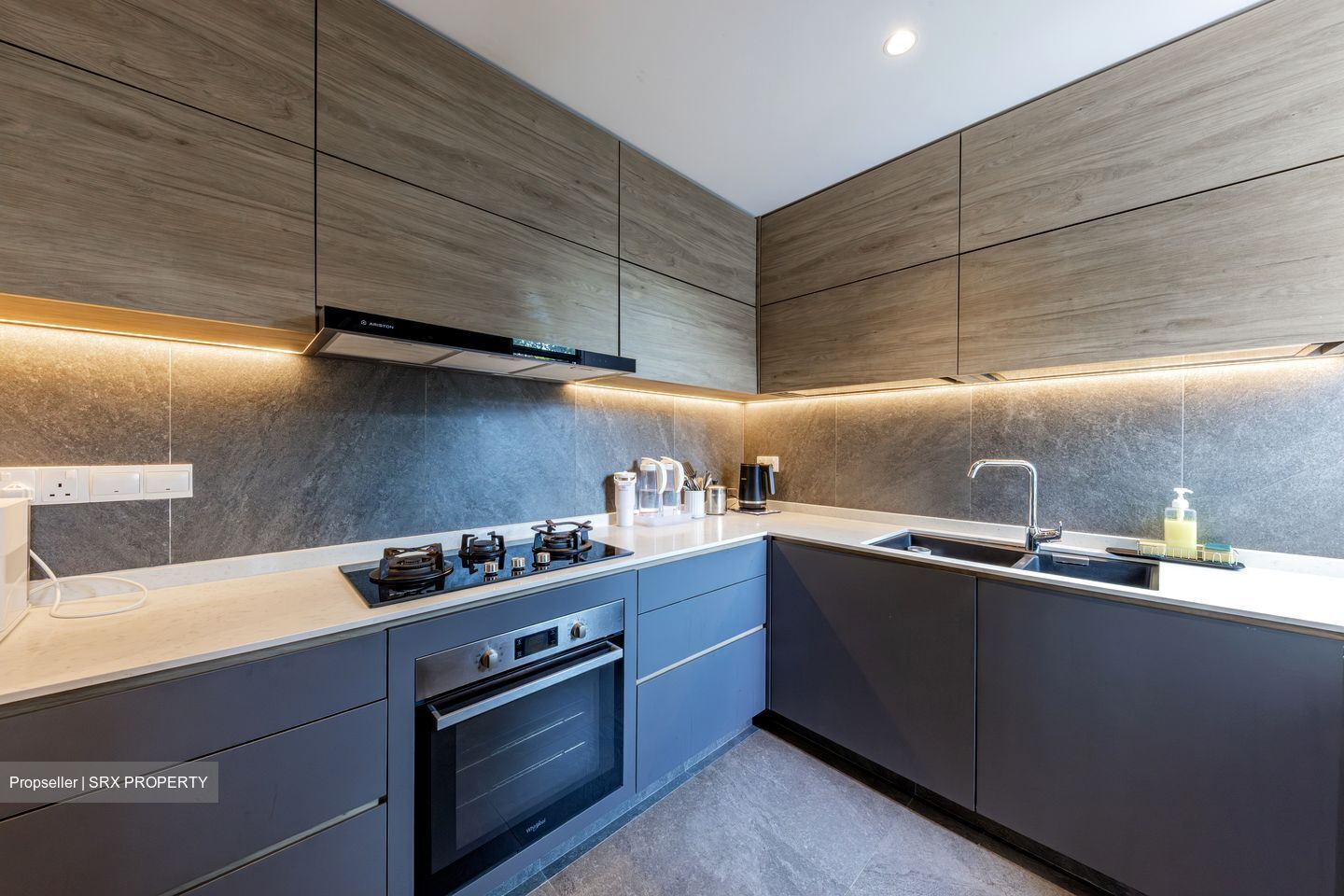 The Hillside (D21), Condominium #502538541